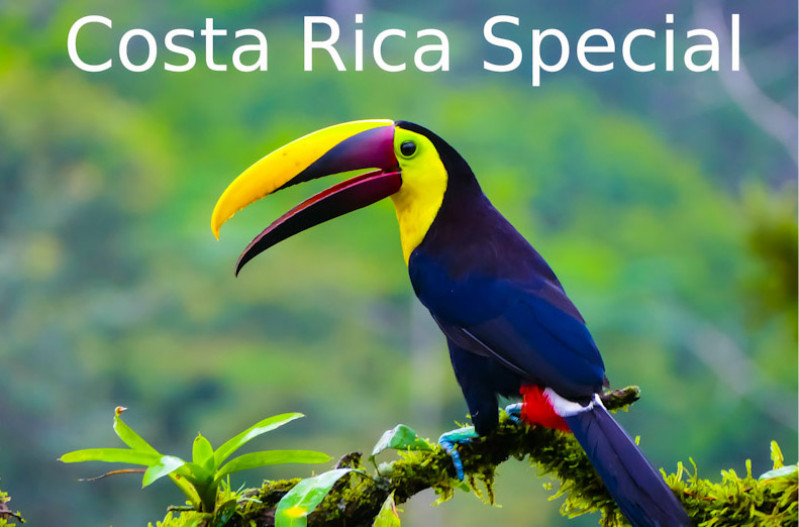 Tukan Costa Rica