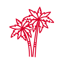 Icon Beste Reisezeit