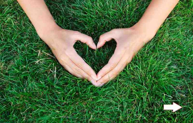 Nachhaltigkeit H�nde 