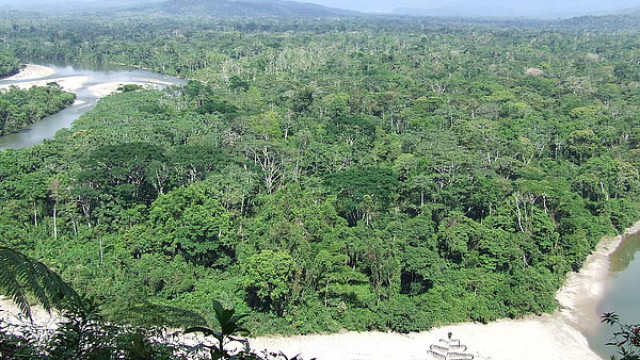<strong>Abenteuer Amazonas</strong>- Nationalpark Cuyabeno