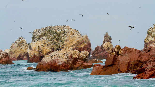 <strong>Paracas und Islas Ballestas</strong>