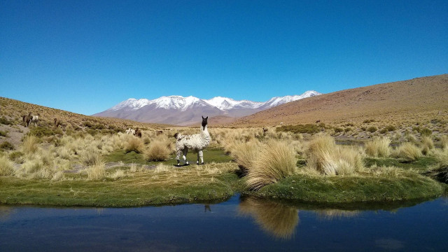 <strong>Bolivien</strong>-Highlights