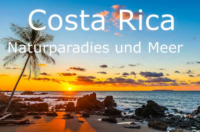 Palmen Meer Costa Rica
