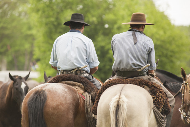 Gauchos