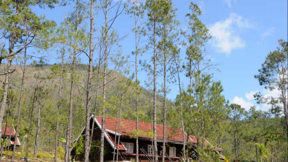 Villa Pinares de Mayari ( ) Villa Pinares de Mayari ( )