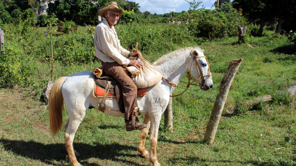 Alter Bauer auf Pferd Kuba ()
