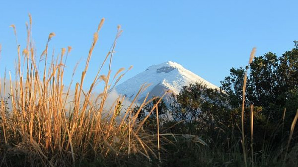 Vulkan Cotopaxi ()