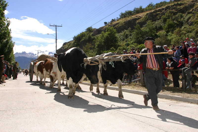 Gaucho in Cerro Castillo