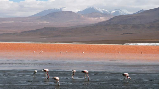 <strong>Bunte Welten</strong> Argentinien, Bolivien & Chile