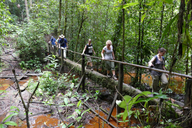 Heinrich Meyer_Wanderung im Urwald