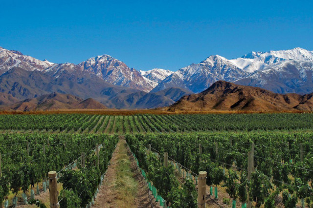 Weingut in Argentinien