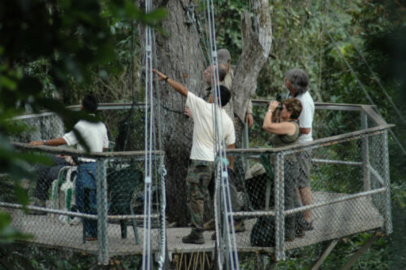 Gruppe auf Canopy Tour in Guyana