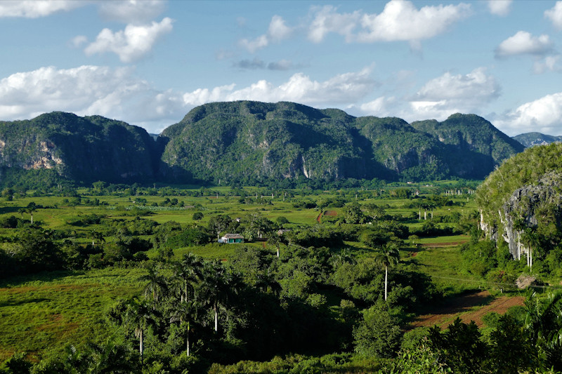 Viales