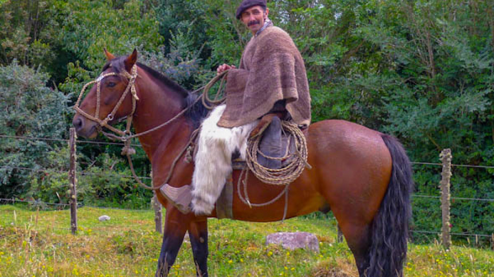 Reiten in Gauchos (Andes Nativa)