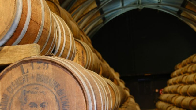 Martinique entdecken - <strong>Rum und Regenwald</strong>