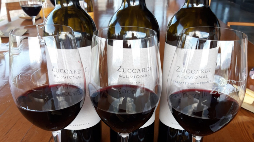 Zuccardi Tasting (Sabine)