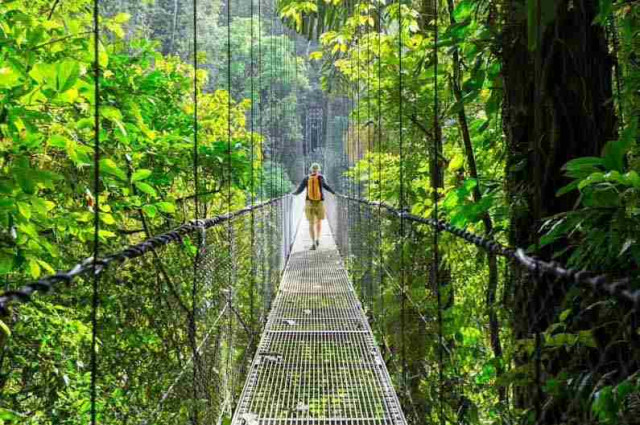 Mensch auf einer Br�cke in Costa Rica