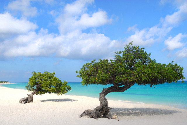 Eagle Palm Beach Aruba