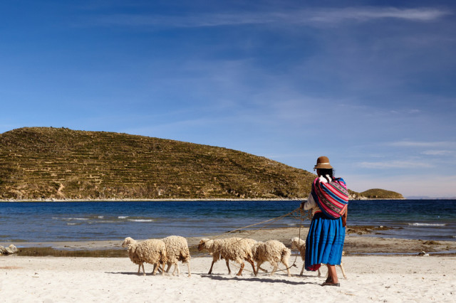 Schferin auf der Isla del Sol