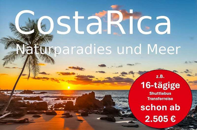 Palmen Meer Costa Rica