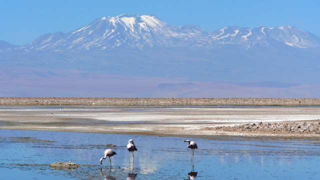 <strong>Schätze der Atacama Wüste</strong>