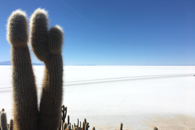 Ausblick von der Insel Incahuasi