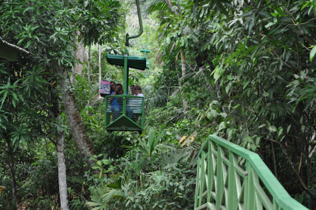 Baumkronen Seilbahn Gamboa Panama