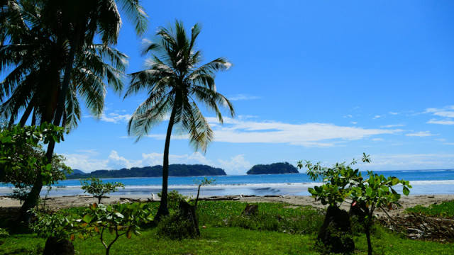 Costa Rica  <br/>mit Shuttlebus-Transfer: <strong>Tropenlust mit der Familie</strong>