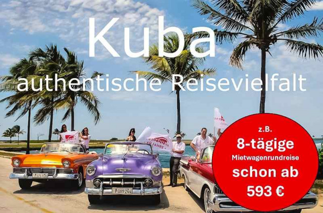 Oldtimer und Palmen Kuba
