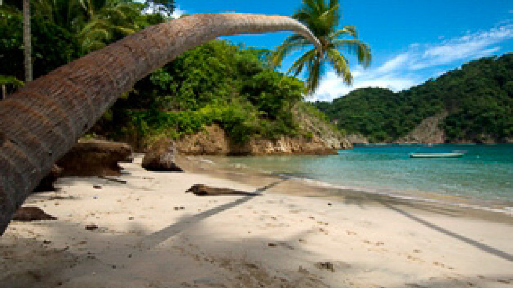 Kleine Bucht mit Kokospalmen an der Pazifikküste von Costa Rica ()