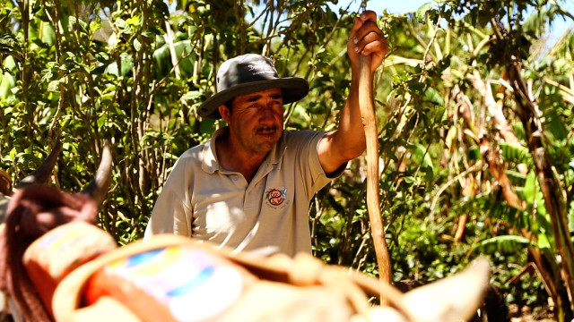 Costa Rica <strong>Real</strong>