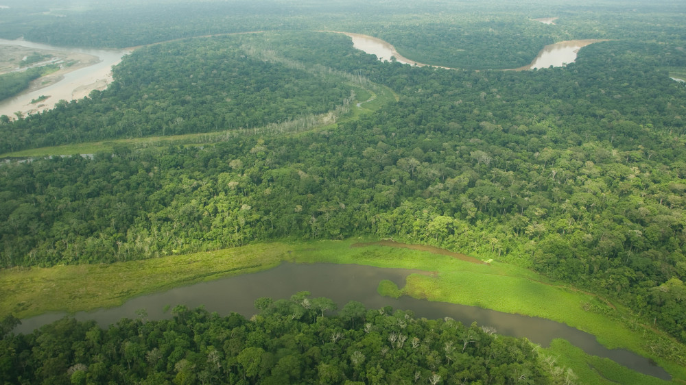 Manu Nationalpark ()