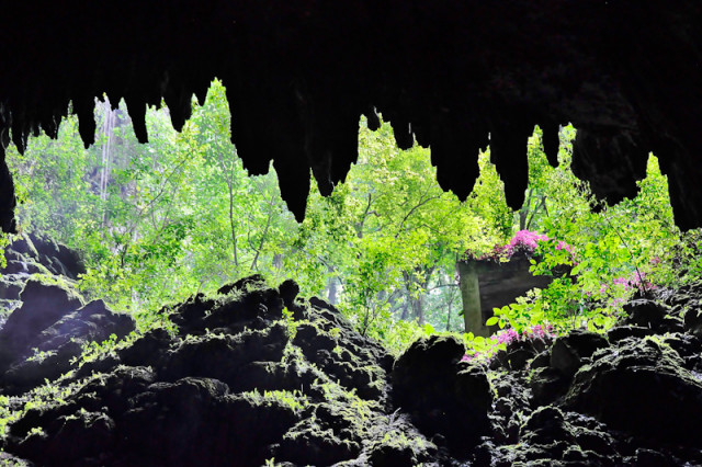 Camuy Höhle