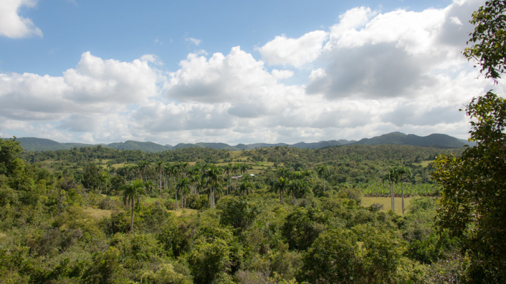 Aussichtspunkt zwischen Santiago de Cuba und Holgu?n ( Udo Dreesmann)