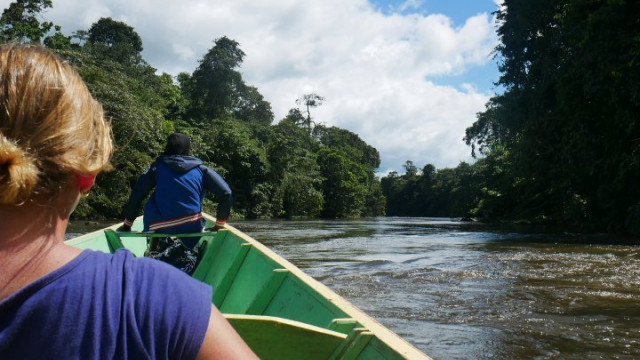 <strong>Suriname Nature Tour</strong>