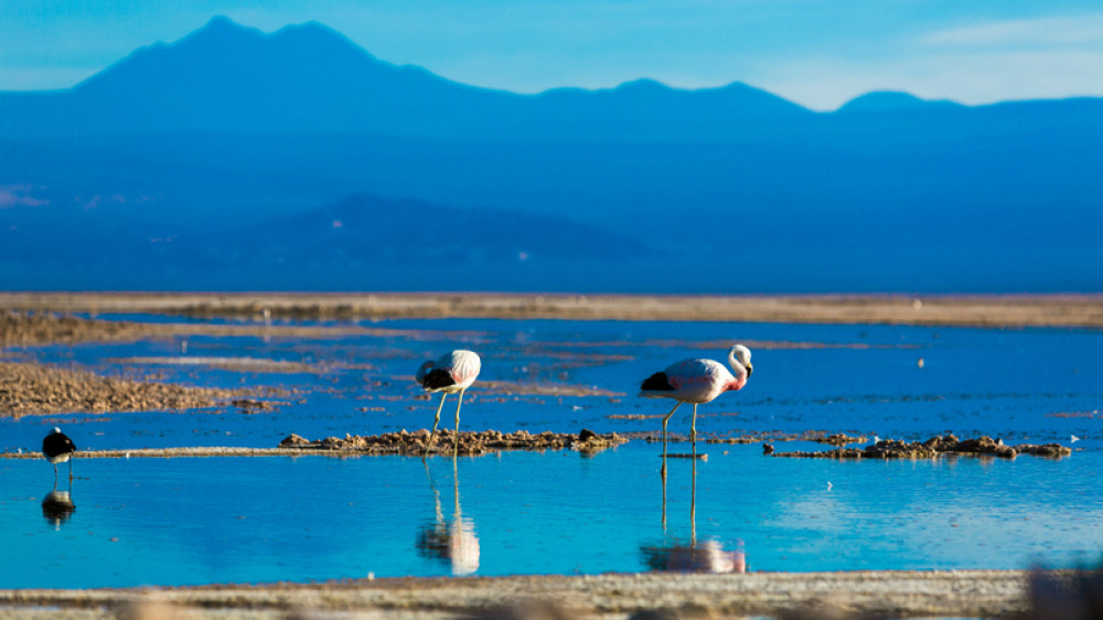 Chile - San Pedro de Atacama ()