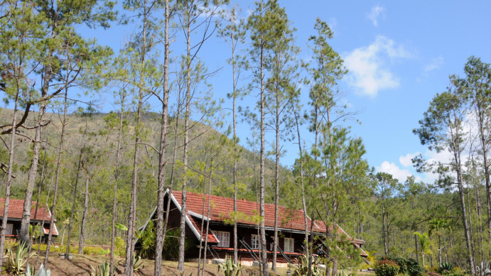 Villa Pinares de Mayari () Villa Pinares de Mayari ()