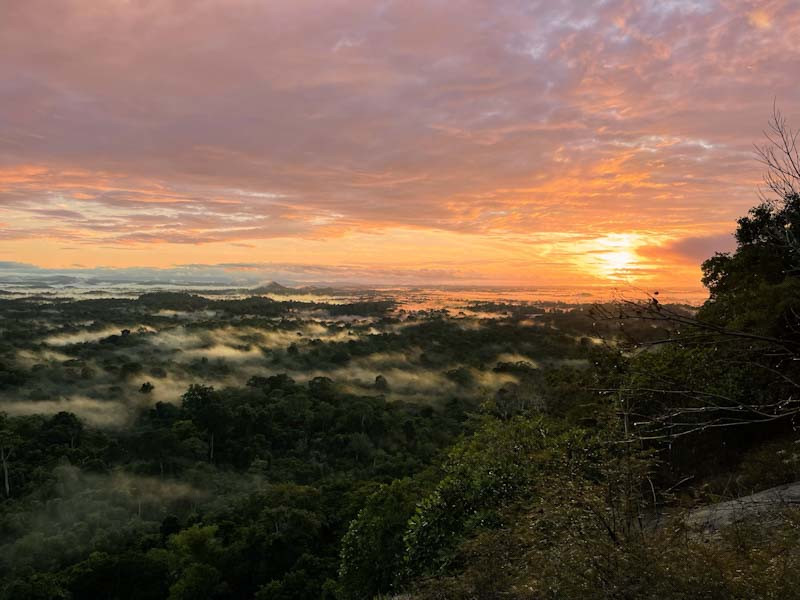 Blick �ber den Regenwald von Fredberg