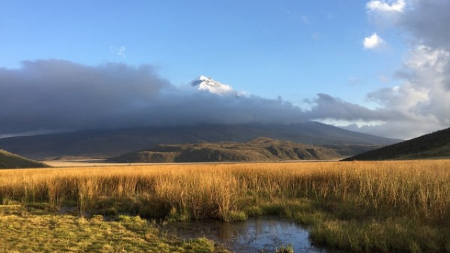 <strong>Cotopaxi Nationalpark</strong>