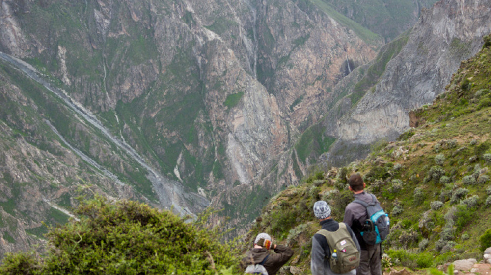 Touristen im Colca Canyon ()