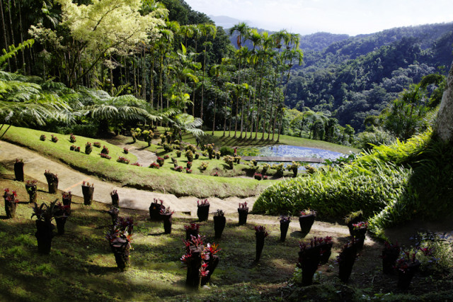 Botanischer Garten Martinique