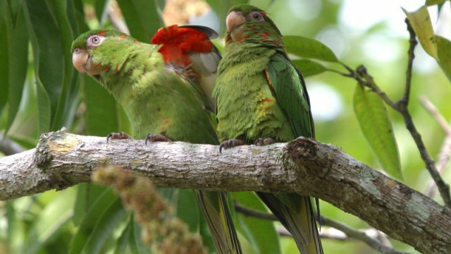 <strong>Trinidad Nature Tour 4x4 El Cubano</strong>