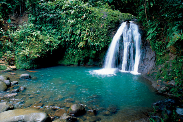 Wasserfall Guadeloupe