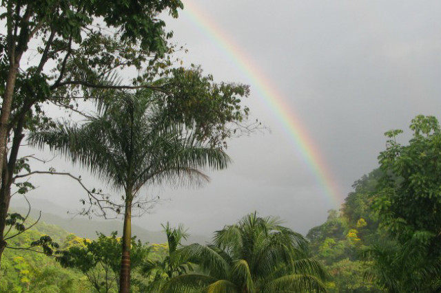 Regenbogen am Rio Cangrejal