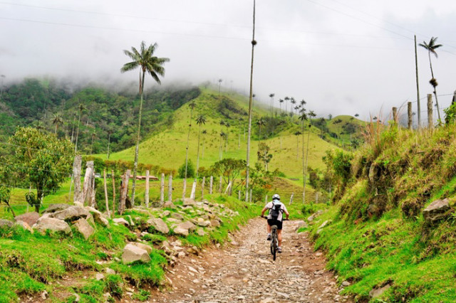 Cocora